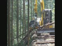 Харвесторная головка KESLA 20SH в работе