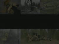 Tigercat лесопогрузчиков-(Tigercat 2009 продукт видео)