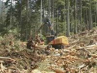 Tigercat комбайны-(Tigercat 2009 продукт видео)