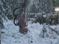 Заготовка голова SP 451LF на эко журнала 550B