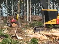 Комбайн Tigercat H855C с журнала Макс 10000XT