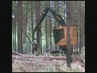 Tigercat разрез длиной на пень - сосна истончение [Южного полушария 2011]