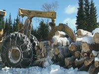 Приспособление трелевочное ПТН Tigercat 630 D - Северный Мэн Logger Milesmac Productions