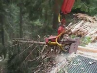 Заготовка голова Конрад ВУДИ 60 - Маседу лес