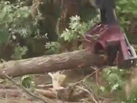 Вырубка голова SATCO 630 - вырубка грейфер