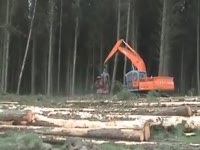 Заготовка голова SATCO 22