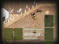 EXPOFOREST 2014, бразильский лес.