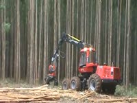 Комбайн Komatsu 941.1 - Expoforest 2011