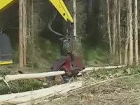 Заготовка голова SATCO 22