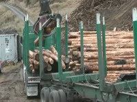 Вырубка голова SATCO 420