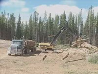 Вход погрузчик Caterpillar 322 C