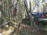 Заготовка голова SP 561 LF на Rottne H14