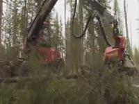 Харвестер Valmet 901TX