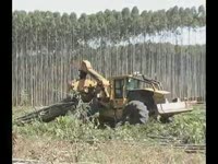 Приспособление трелевочное ПТН Tigercat 630B работающих в Бразилии