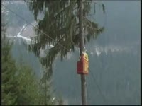 Cape air - Woodliner Конрад