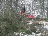 Харвестерная головка SP 561LF на Valmet 911.3