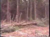 Гусеничные харвестеры Komatsu Valmet 445