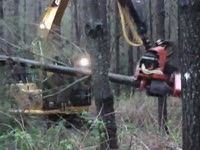 Комбайн CAT 314 D с PE-42 харвестерная головка (видео 2)