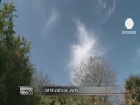 euronews business planet - Бамбук поможет одолеть микробы и безработицу