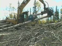 Процессор головы дерево короля на CAT 324 D FM