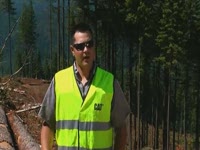 Лесного хозяйства машина кошка 568 Multi-Tasking