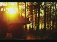 Tigercat Knuckleboom лесопогрузчиков - совершенные лесного хозяйства