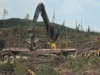 Tigercat 880 лесопогрузчиком