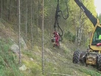 Комбайн SP 451 LF с multi дерево epuipment на эко журнала 560B