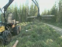 Экспедитор Эко журнала 574 C