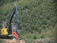 Харвестер Volvo EC140BF с LogMax 5000D