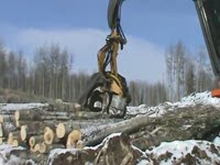 Заготовка Tigercat TH575 голова на экскаватор Hitachi 210 лес