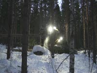 Лопата Tigercat регистраторы - совершенные лесного хозяйства.