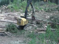 Комбайн Tigercat H855C