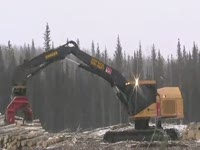 Комбайн Tigercat H855C с фиксированной Waratah 624 C