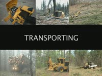 Tigercat рубки головы-(Tigercat 2009 продукт видео)