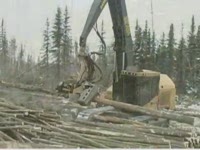 Tigercat экспедиторов-(Tigercat 2009 продукт видео)