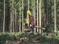 Валочно-пакетирующий гусеничный харвестер Komatsu Forest XT450L