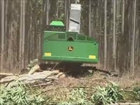 Отслеживать Феллер Buncher Джон Дир 903 K - Эвкалипт плантации