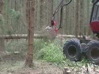 Харвестер Valmet 911.3 с харвестерной головкой 561LF Maskiner