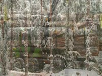 Экспедитор Джон Дир 1010E