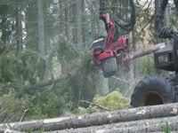 Заготовка голова SP 551 LF на комбайн Timberjack 1070D