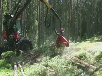 Харвестерная головка SP Maskine 561 LFна Valmet 901.1