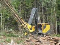 Вырубка голова Гилберт 350 высокой ротации запястья