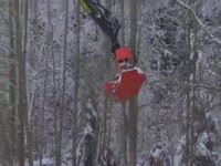 Вырубка голова Biojack 150