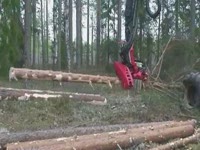 Комбайн голова SP 561 LF на Gremo1050H