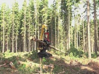 Валочно-пакетирующий гусеничный харвестер Komatsu Forest XT450L-2