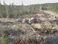 Более проредить T26 Bracke лесов. bracke, Кроме того, проредить. Проредить Bracke лес T26 дополнение: www.brackeforest.c