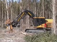 Феллер Buncher Tigercat 855 C с руководителем DT2000 вырубки