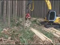 Комбайн E215F Новой Голландии с журнала Макс 5000C эвкалипты