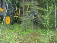 Комбайнов Sampo Rosenlew 1046X с Kesla 16RH уборки головы